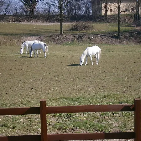 Azienda Agricola Corte Giorgiana Casa di campagna *