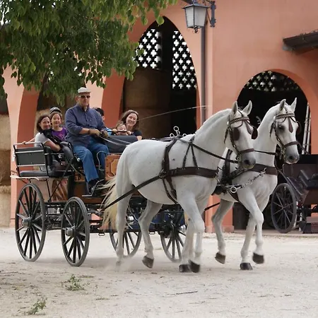 Azienda Agricola Corte Giorgiana Venkovský dům