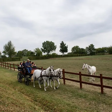 Azienda Agricola Corte Giorgiana Venkovský dům Monzambano